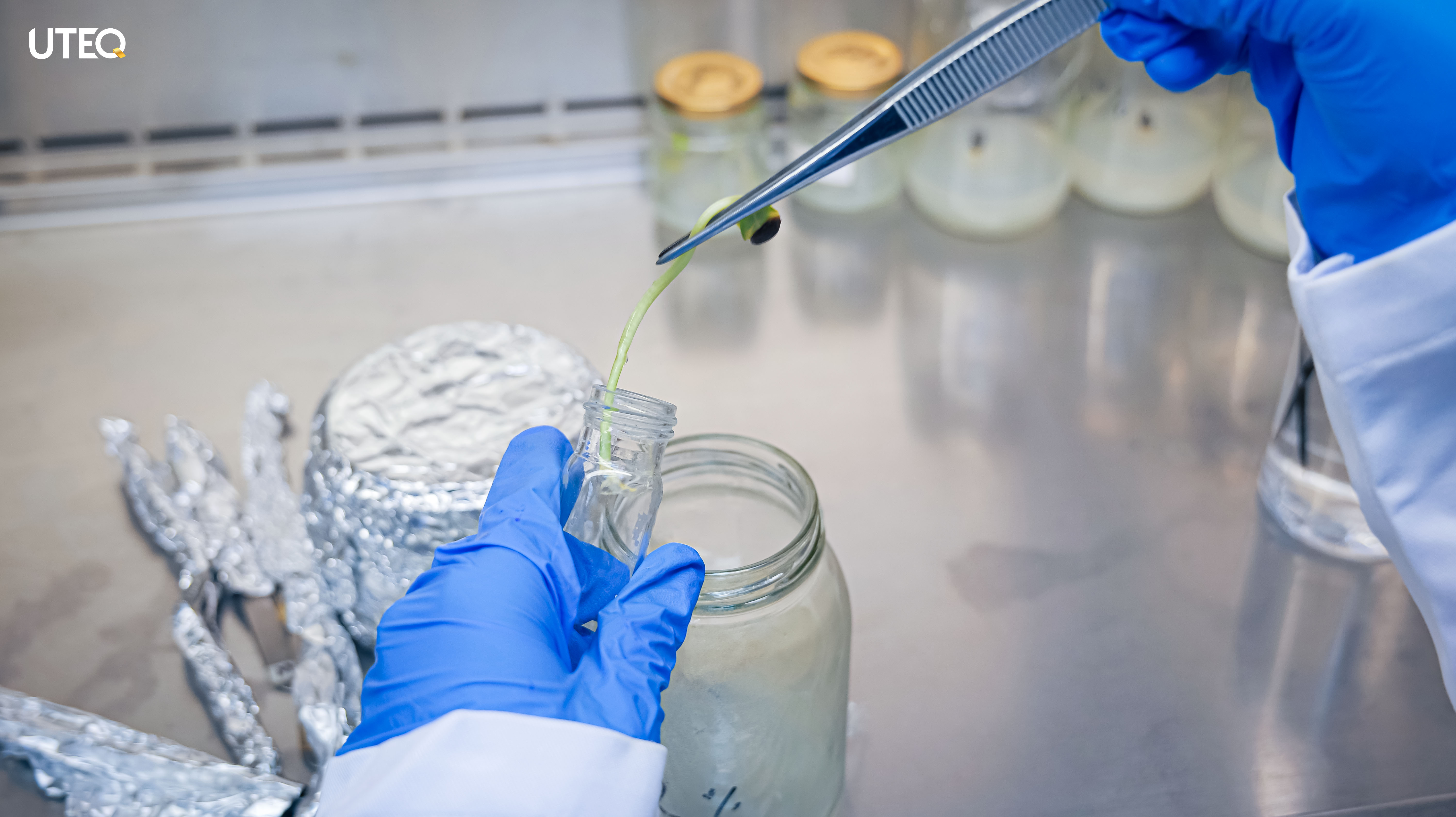 Biotecnología