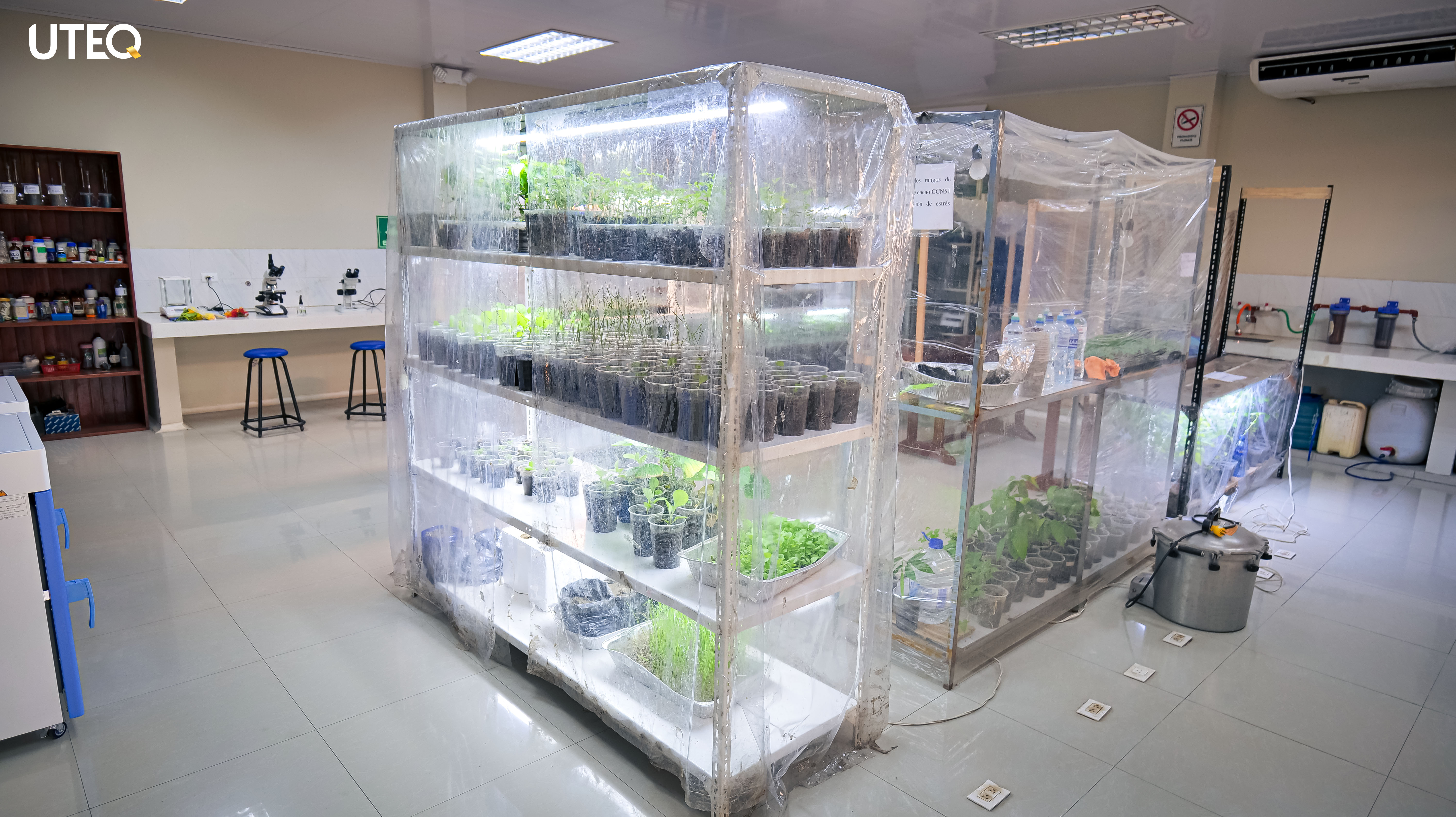 Biotecnología